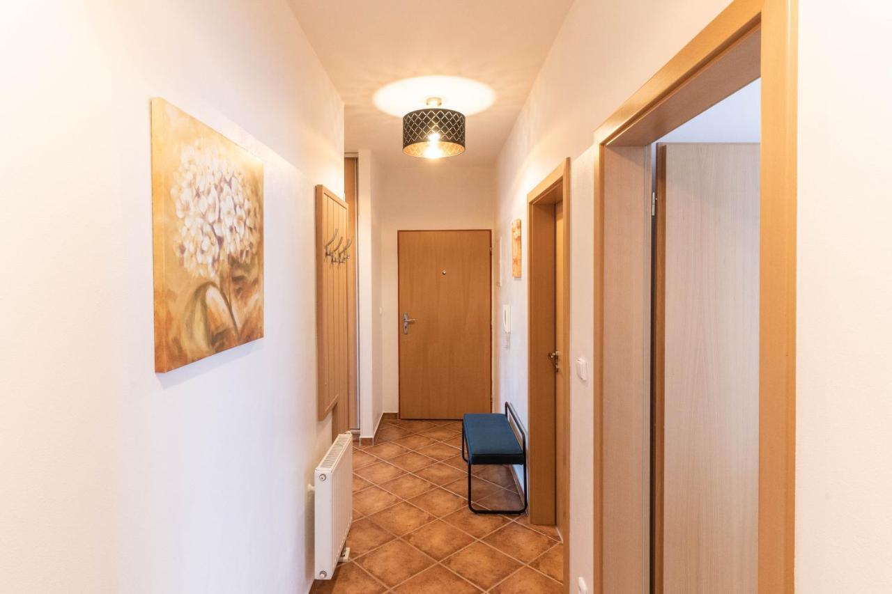 Apartman Lipa 利贝雷茨 外观 照片